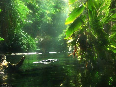 randomized trial  nature scenery  sounds  urban scenery