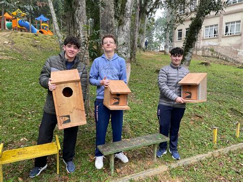 Alunos De Escola De Rio Do Oeste Desenvolvem Caixas Ninho Para Aves