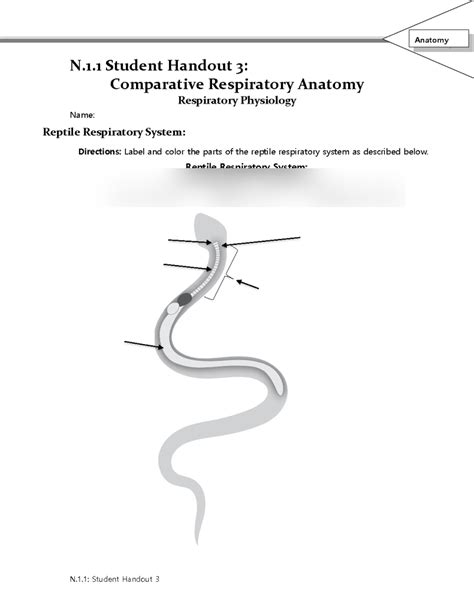 Reptile Respiratory system Diagram | Quizlet