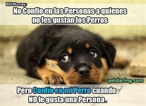 frases sobre perros