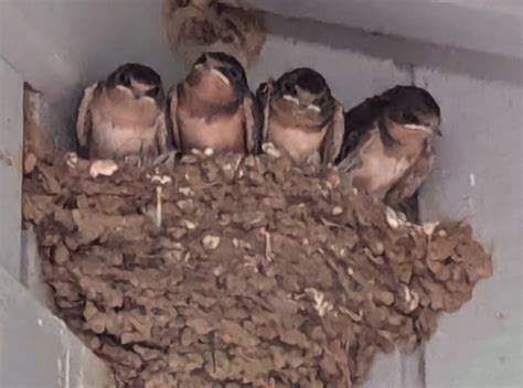 Links Archives Naked Capitalism