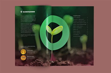 Буклет агро-препарата Biodux :: Behance