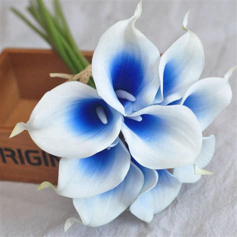 9pcs Real Touch Royal Blue Picasso Calla Lilies Calla Lily Etsy Picasso Calla Lilies Calla