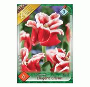 Bulbi De Flori Lalele Elegant Crown Promotii Livrare Rapida