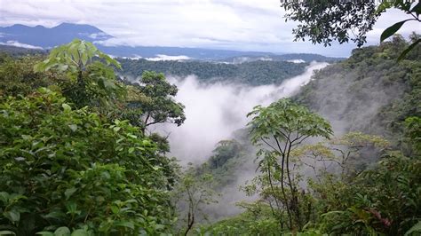 Costa Rican Rainforest Eco-Tourism | La Danta Salvaje