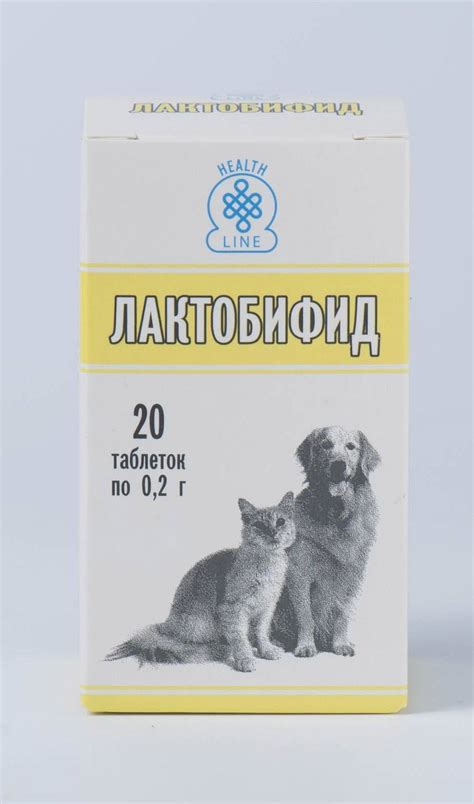 Лактобифид для собак: инструкция и показания к применению, цены, отзывы