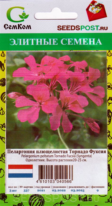 Пеларгония плющелистная ампельная Торнадо Фуксия F1, 3 шт. Syngenta ...