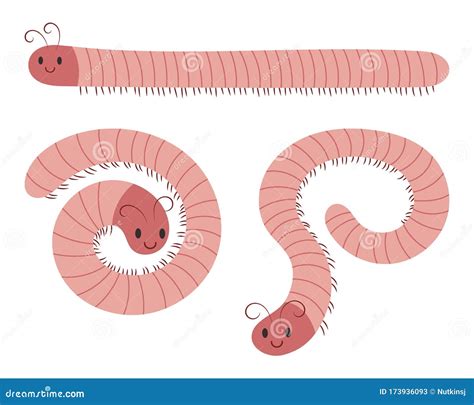 Set Of Millipede Vector Cartoon Stock Vector Illustration Of