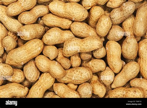 Dry Roasted Peanuts Stock Photo Alamy