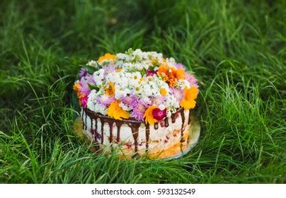 Naked Cake Decorated Flowers On Grass Stock Photo Shutterstock
