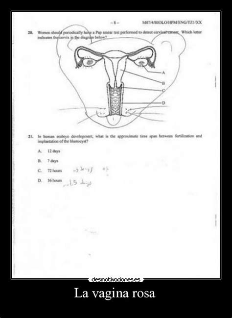 La Vagina Rosa Desmotivaciones