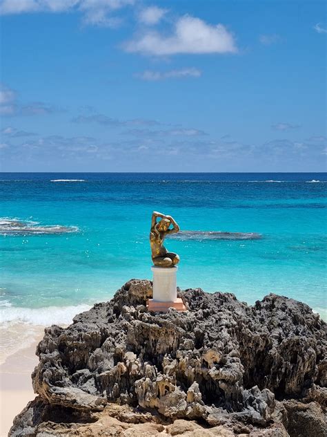 Gallery Coco Reef Bermuda