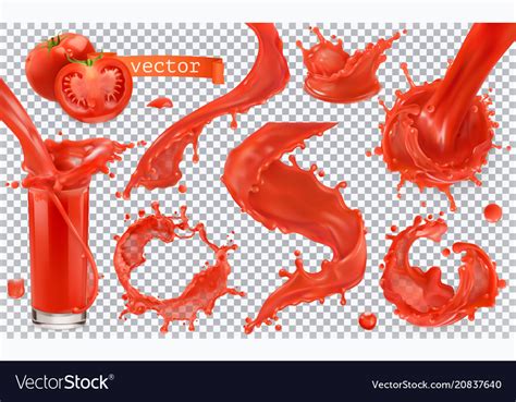 Red Paint Splash Tomato Strawberries D Realistic Vector Image