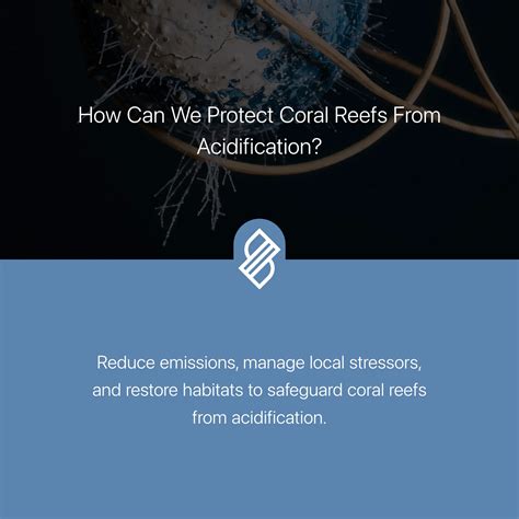 How Can We Protect Coral Reefs from Acidification? → Question