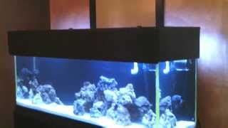 Aquarium Cover Designs - WoodWorking Projects & Plans