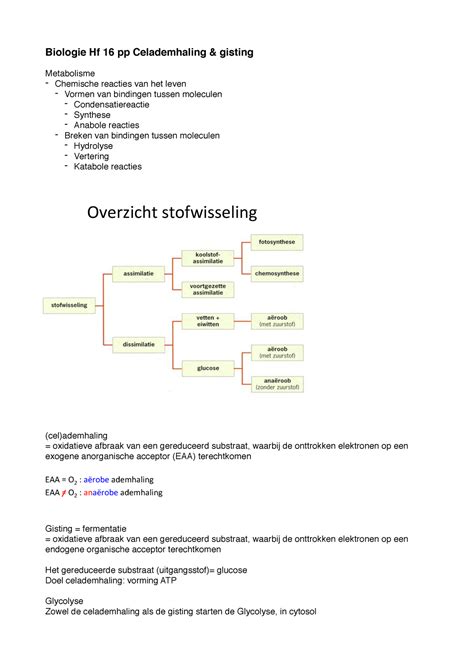 Bio Samenvatting Pp Hf Celademhaling Biologie Hf Pp