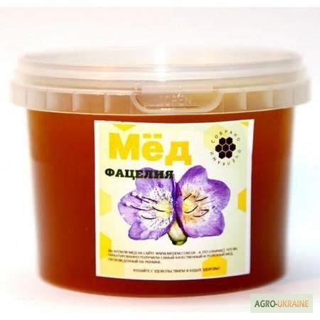 Продам фацелиевый Мед, купить фацелиевый Мед, Черниговская обл — Agro ...