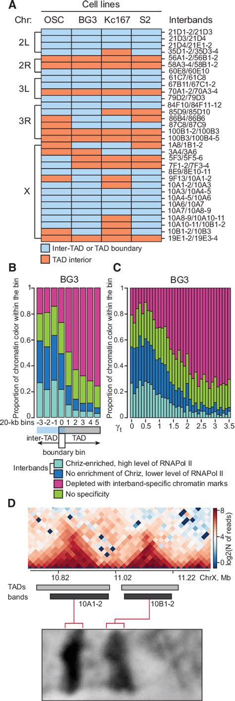 Figure 1 From Active Chromatin And Transcription Play A Key Role In