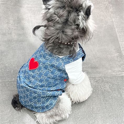Blue Gucci Puppy Clothes Dog Clothes W554dogdesigenrshop