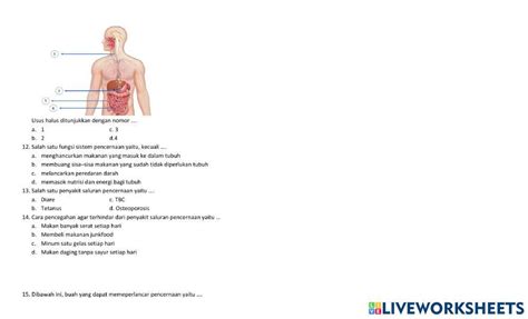 Pas Ipa Kelas 5 Worksheet Live Worksheets