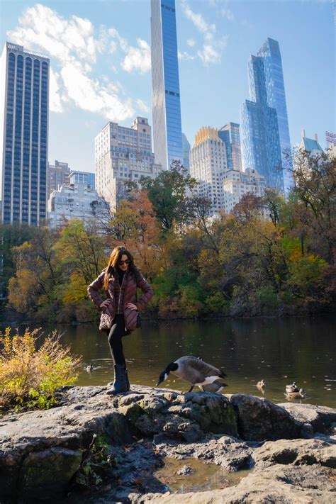 Thereallisaann Twitter Porn Account Modelnd