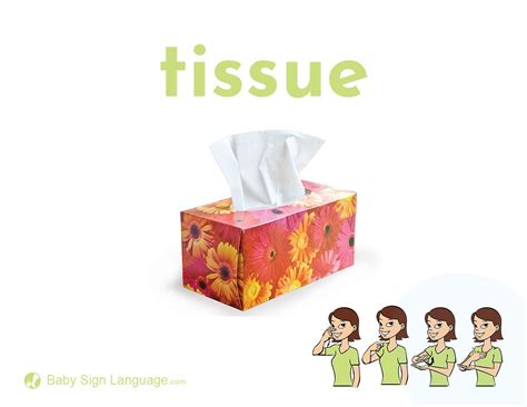 tissue