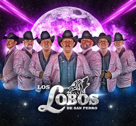 Lobos Frontais Função 2
