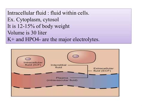 Major Extra And Intra Cellular Electrolytes PPT