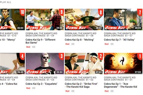 How To Watch ‘Cobra Kai’ Episode 3 Online For Free | Decider