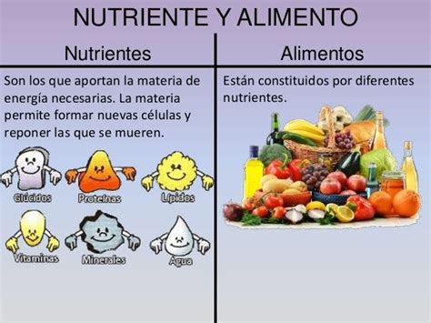 Qual A Diferença Entre Alimento E Nutriente - Diferencia entre nutriente y alimento. | Piramide alimenticia ...