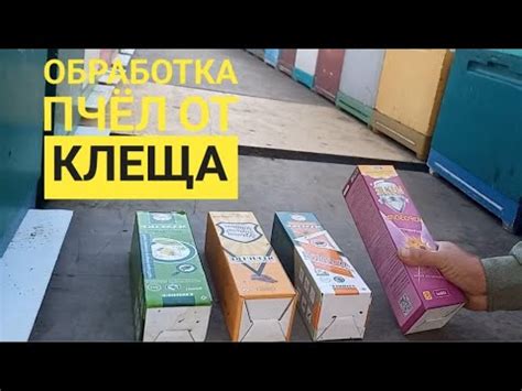 Контрольная обработка пчёл муравьиной кислотой от клеща - YouTube