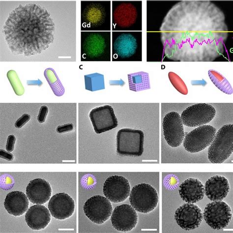 The Core Shell Structured DM RE OH X Nanocomposites A TEM Image