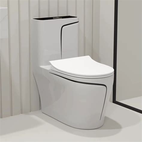 Cleo Tron One Piece Dual Flush Elongated Toilet W Seat – Plumbing Market