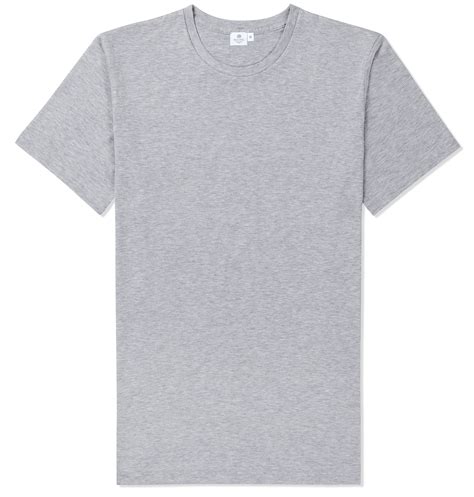 gray shirt template