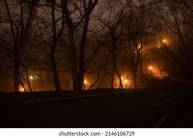 Night Park Fog City Fog Park Stock Photo 2146106729 | Shutterstock