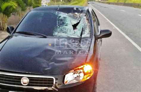 Cavalo Solto Na Pista Provoca Acidente Durante A Madrugada Em S O Jos