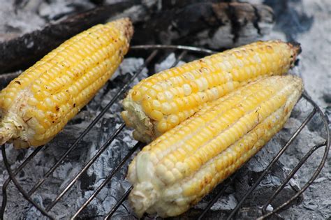 corn  roast  photo  pixabay pixabay