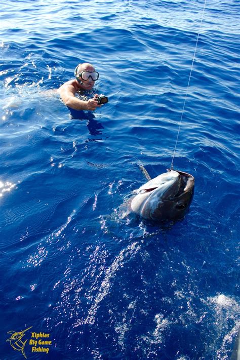 Big Game Fishing Sport Fishing