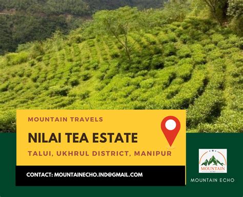 Nilai Tea Estate Ukhrul Manipur