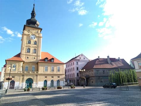 Hopfenmuseum in Saaz: 1000 Jahre Geschichte des Hopfens | Radio Prague ...