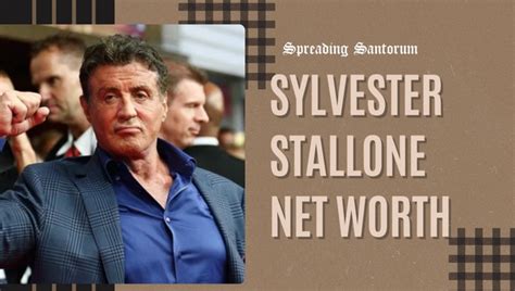 Sylvester Stallone Net Worth Hollywood Icons Wealth