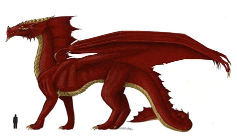 Dragon | Medieval Universes Wiki | FANDOM powered by Wikia