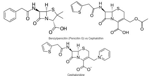 [12 Min] Sar Of Cephalosporins Sewage Fungi Attempts To Replace Penicillin R Sar Med Chem