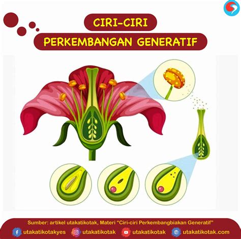 Perkembangbiakan Generatif Dan Vegetatif Pada Tumbuhan Nbkomputer