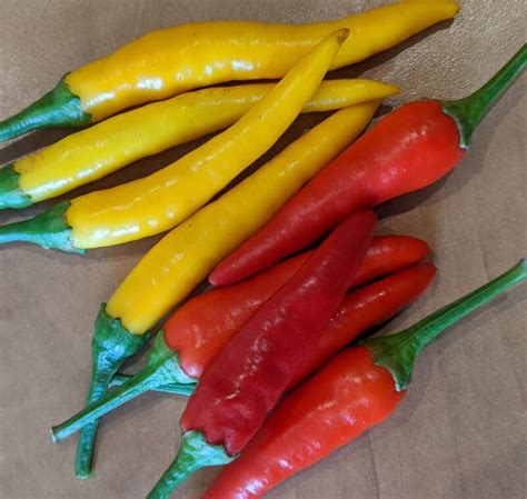 Vip Add On Thai Chili Peppers Sosnicki Organics