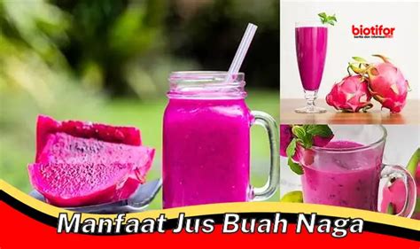 5 Manfaat Jus Buah Naga Yang Jarang Diketahui Biotifor