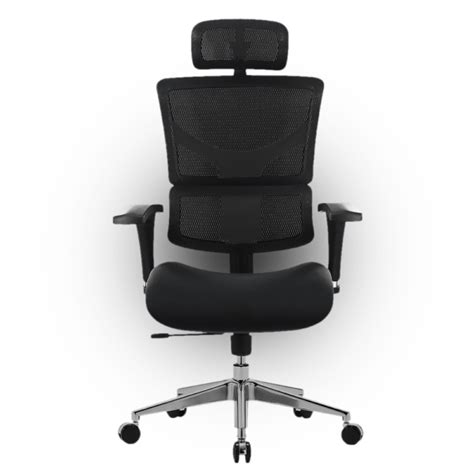 EVOLUTION CONQUEROR BLACK - EVOLUTION