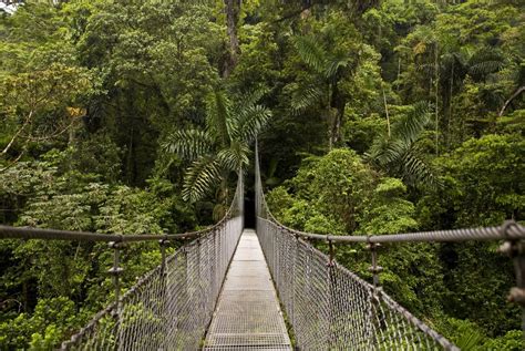 Arenal Volcano La Fortuna