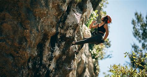 Infographic Climb Your Way To Virtual Selling Success