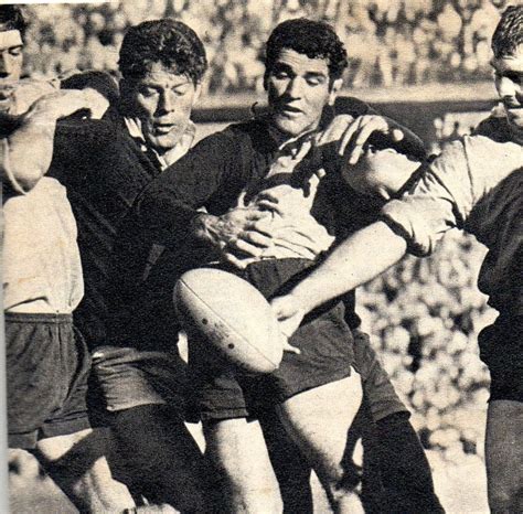 Springbok Rugby Panosundaki Pin